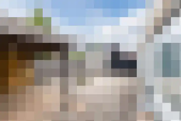 Koningspage 45 Nijkerk thumbnail 30