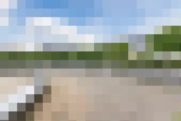 Koningspage 45 Nijkerk thumbnail 31