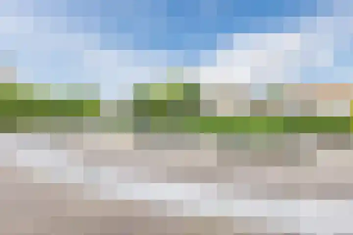 Koningspage 45 Nijkerk thumbnail 32
