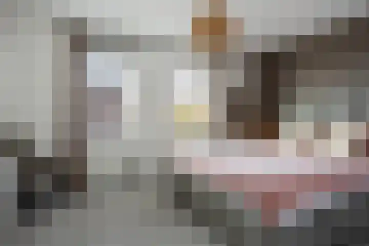 Koningspage 48 Hoogeveen thumbnail 18