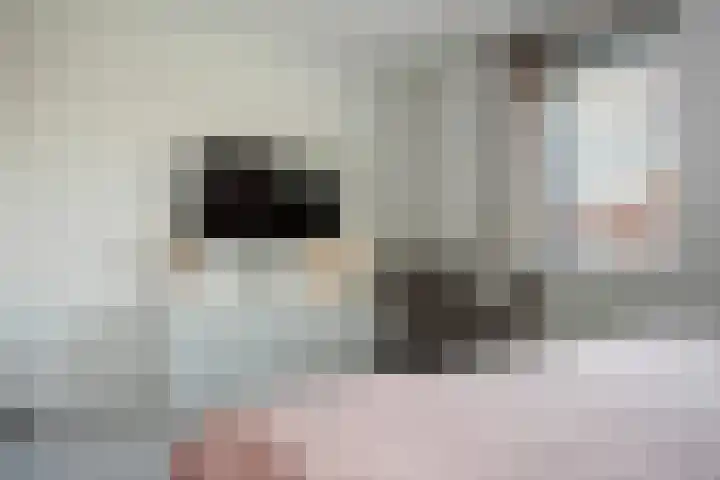 Koningspage 48 Hoogeveen thumbnail 20