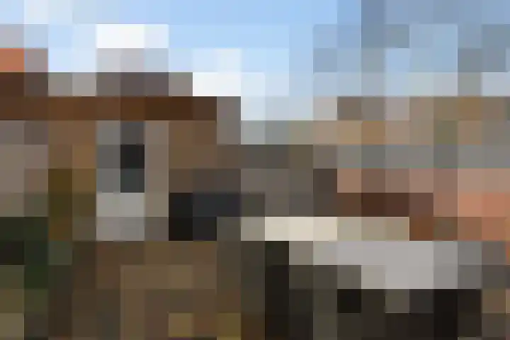 Koningspage 48 Hoogeveen thumbnail 26