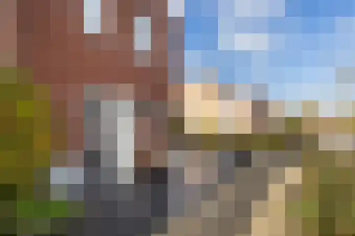 Koningspage 48 Hoogeveen thumbnail 31