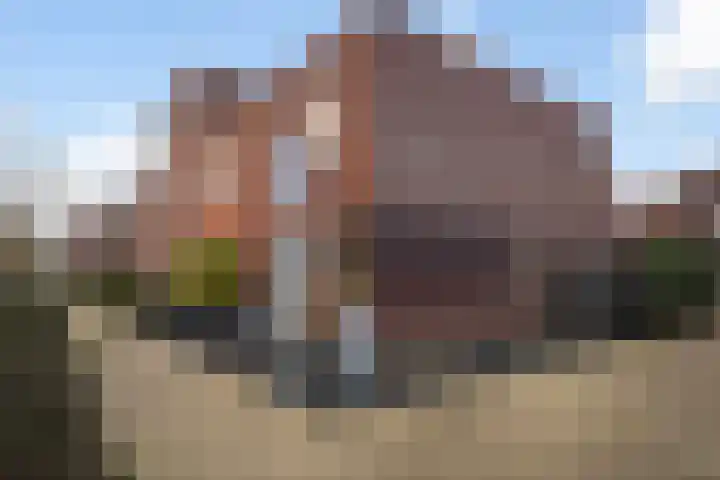 Koningspage 48 Hoogeveen thumbnail 32