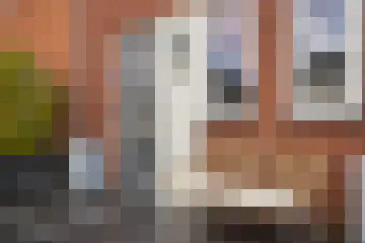 Koningspage 48 Hoogeveen thumbnail 4