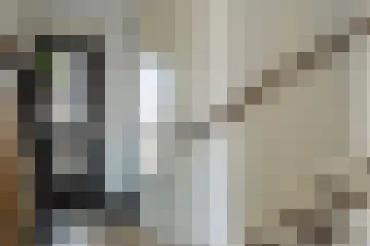 Koningspage 48 Hoogeveen thumbnail 5