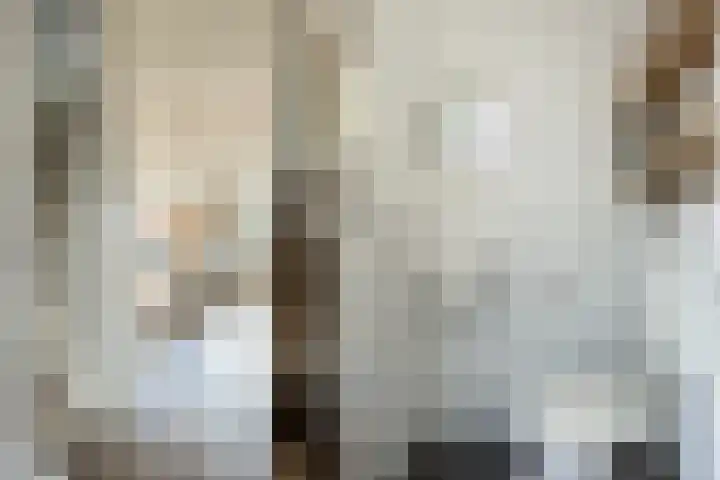 Koningspage 48 Hoogeveen thumbnail 7