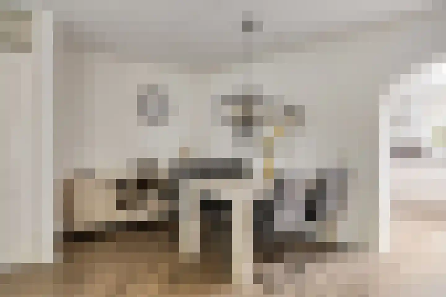 Koningspage 55 Oss thumbnail 10
