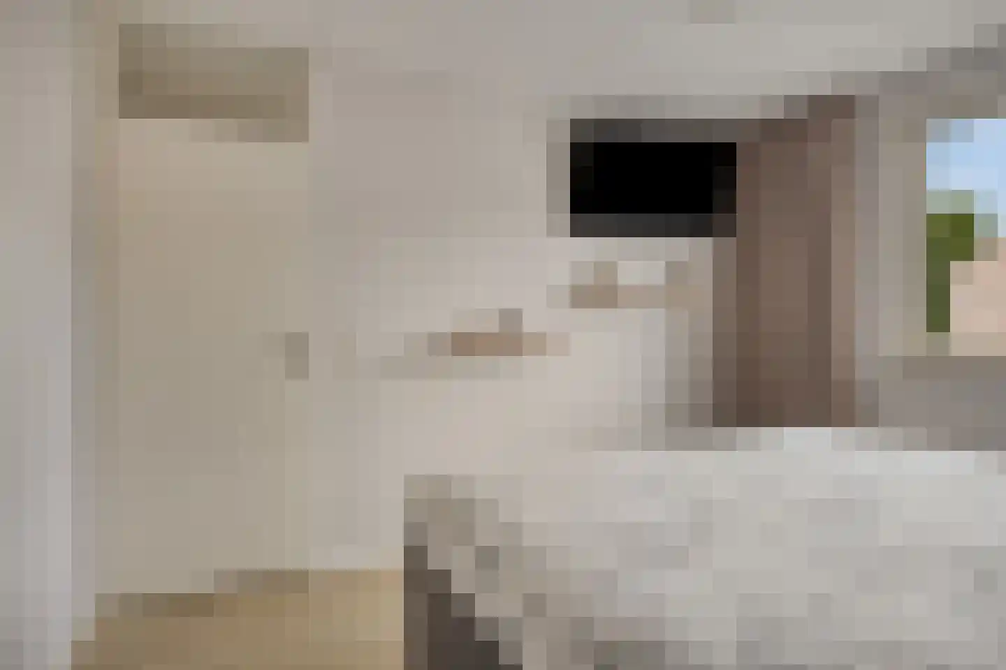 Koningspage 55 Oss thumbnail 18