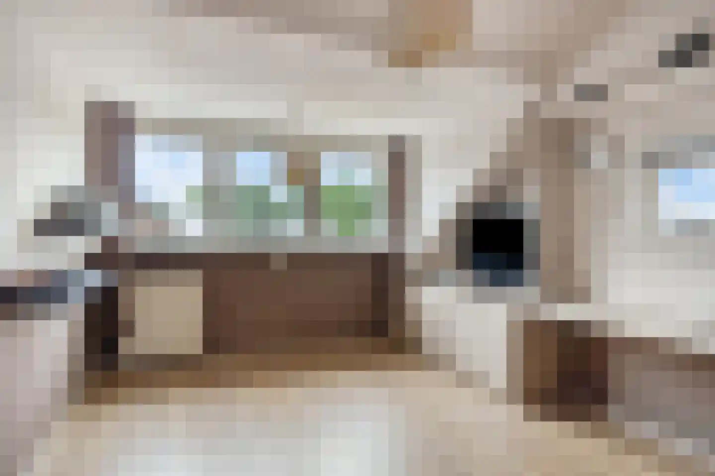 Koningspage 55 Oss thumbnail 22