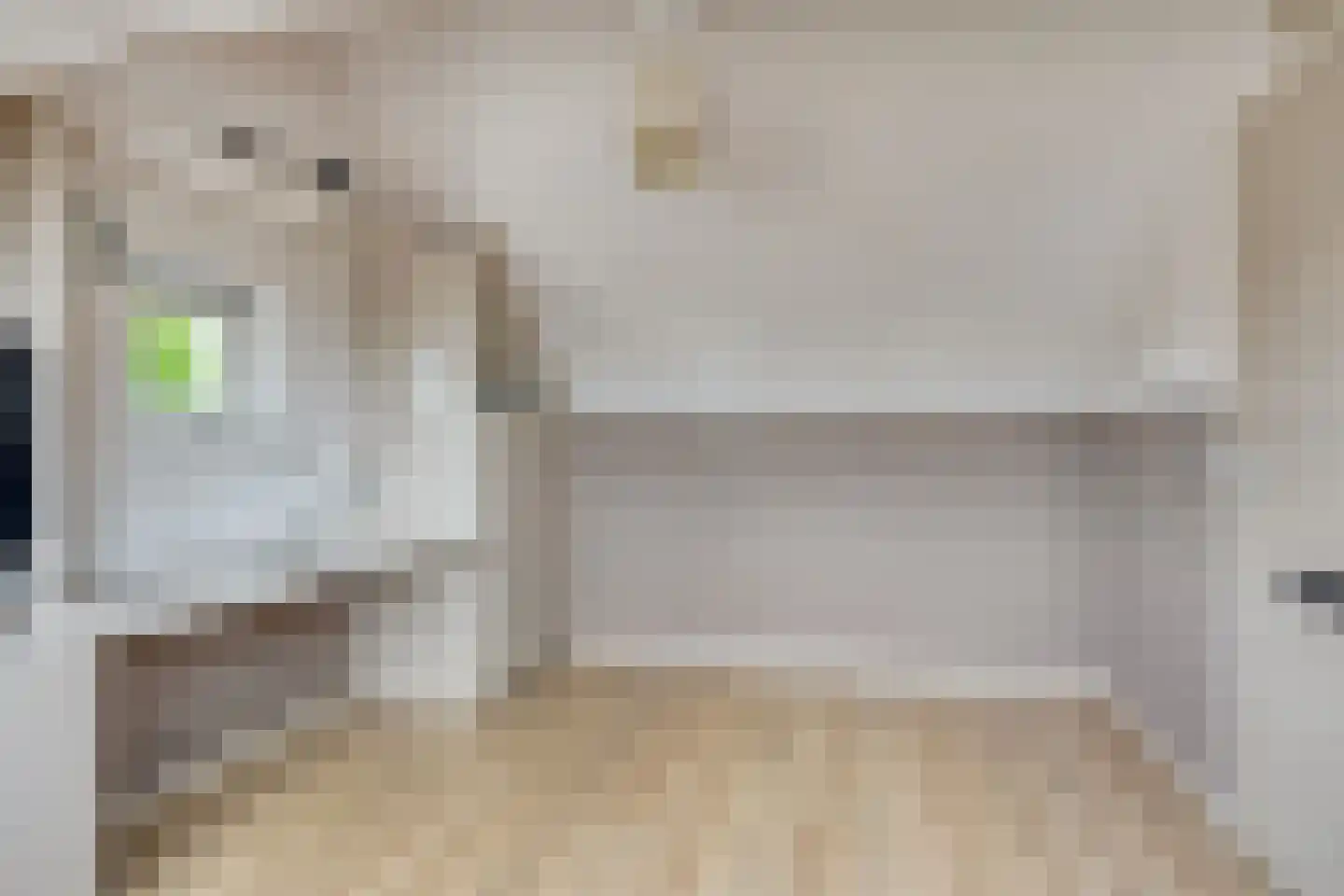 Koningspage 55 Oss thumbnail 23