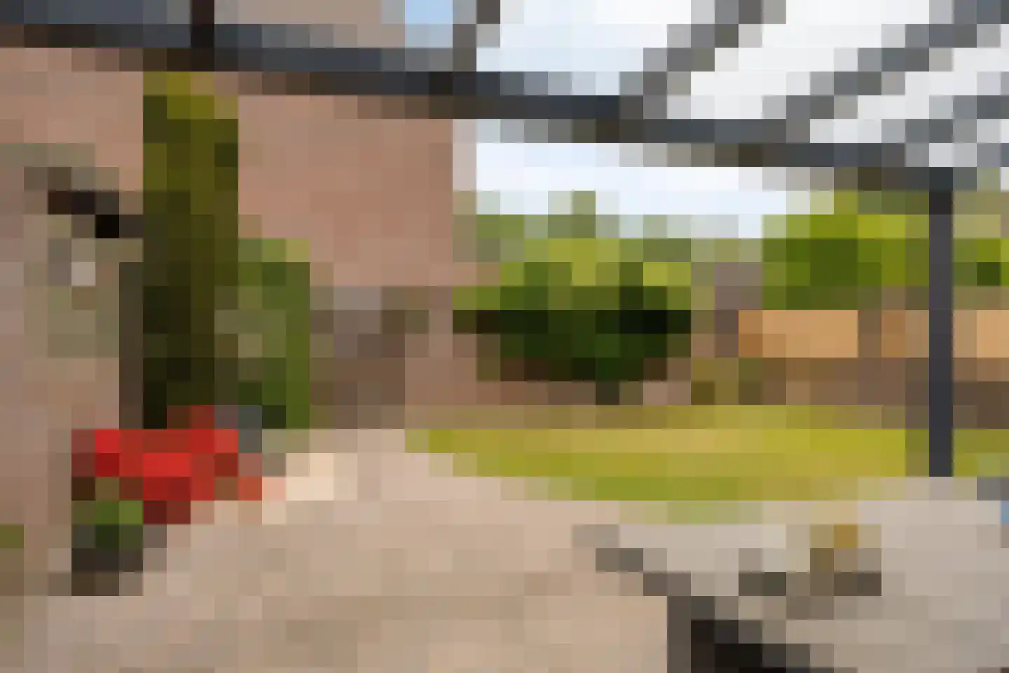 Koningspage 55 Oss thumbnail 26