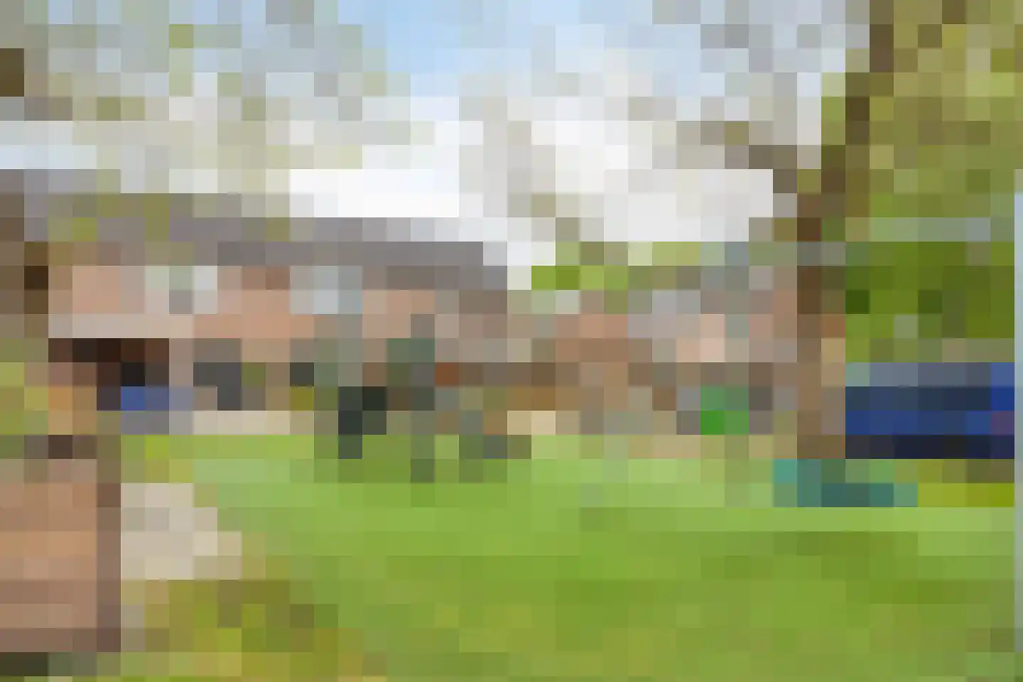 Koningspage 55 Oss thumbnail 32
