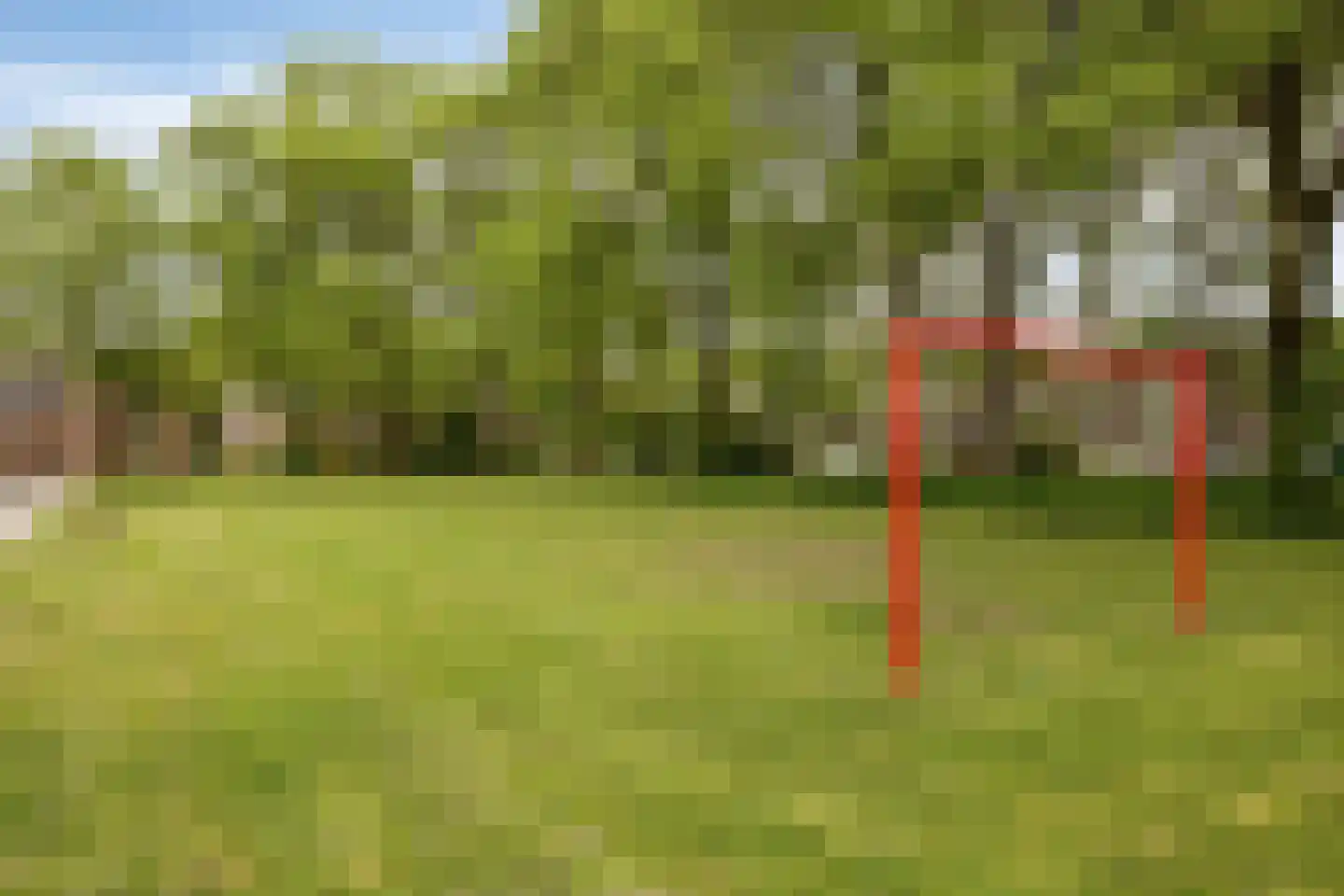 Koningspage 55 Oss thumbnail 34