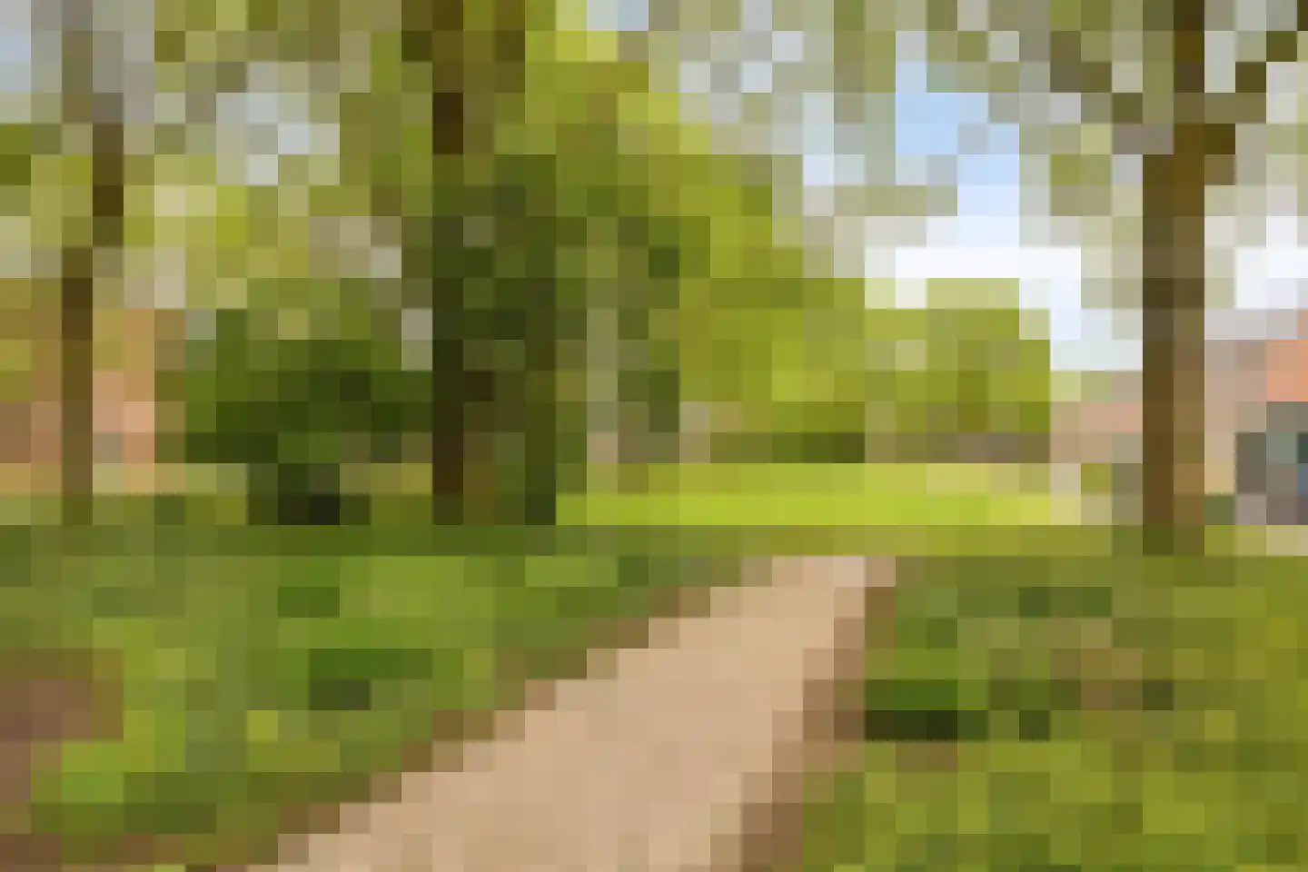 Koningspage 55 Oss thumbnail 35