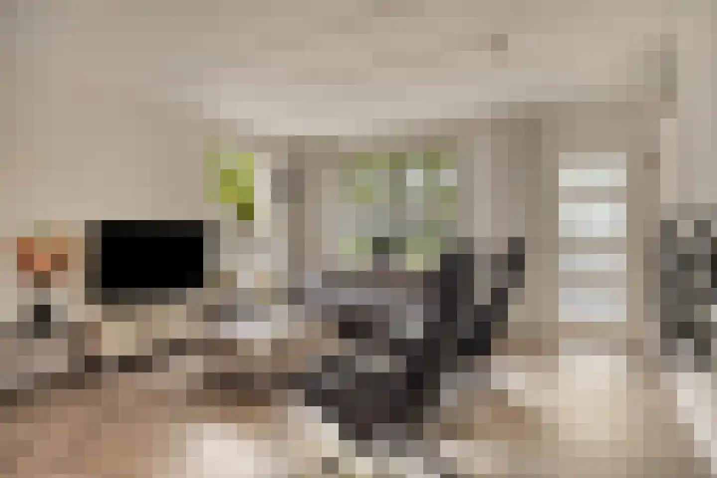 Koningspage 55 Oss thumbnail 4