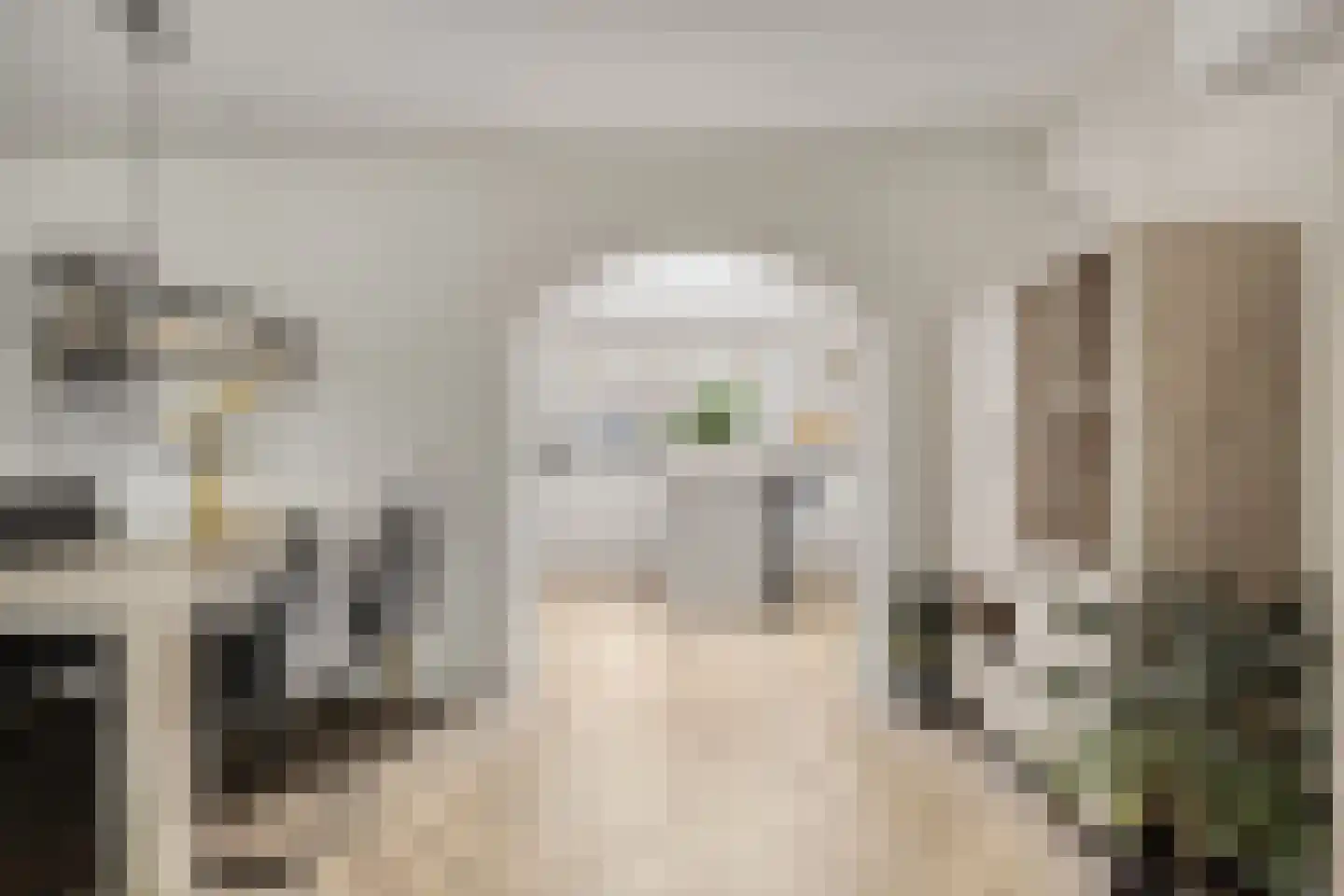 Koningspage 55 Oss thumbnail 6
