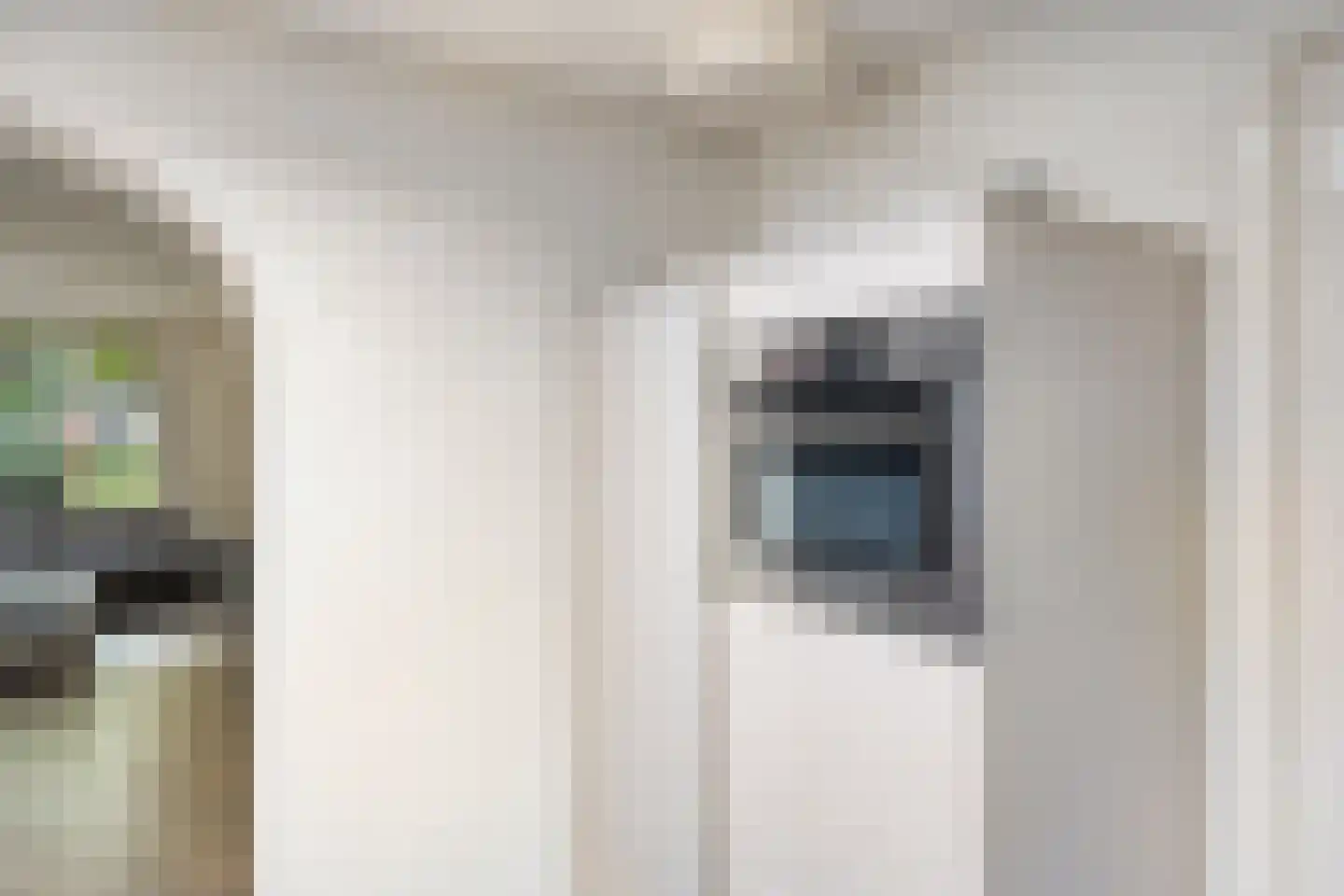 Koningspage 55 Oss thumbnail 7