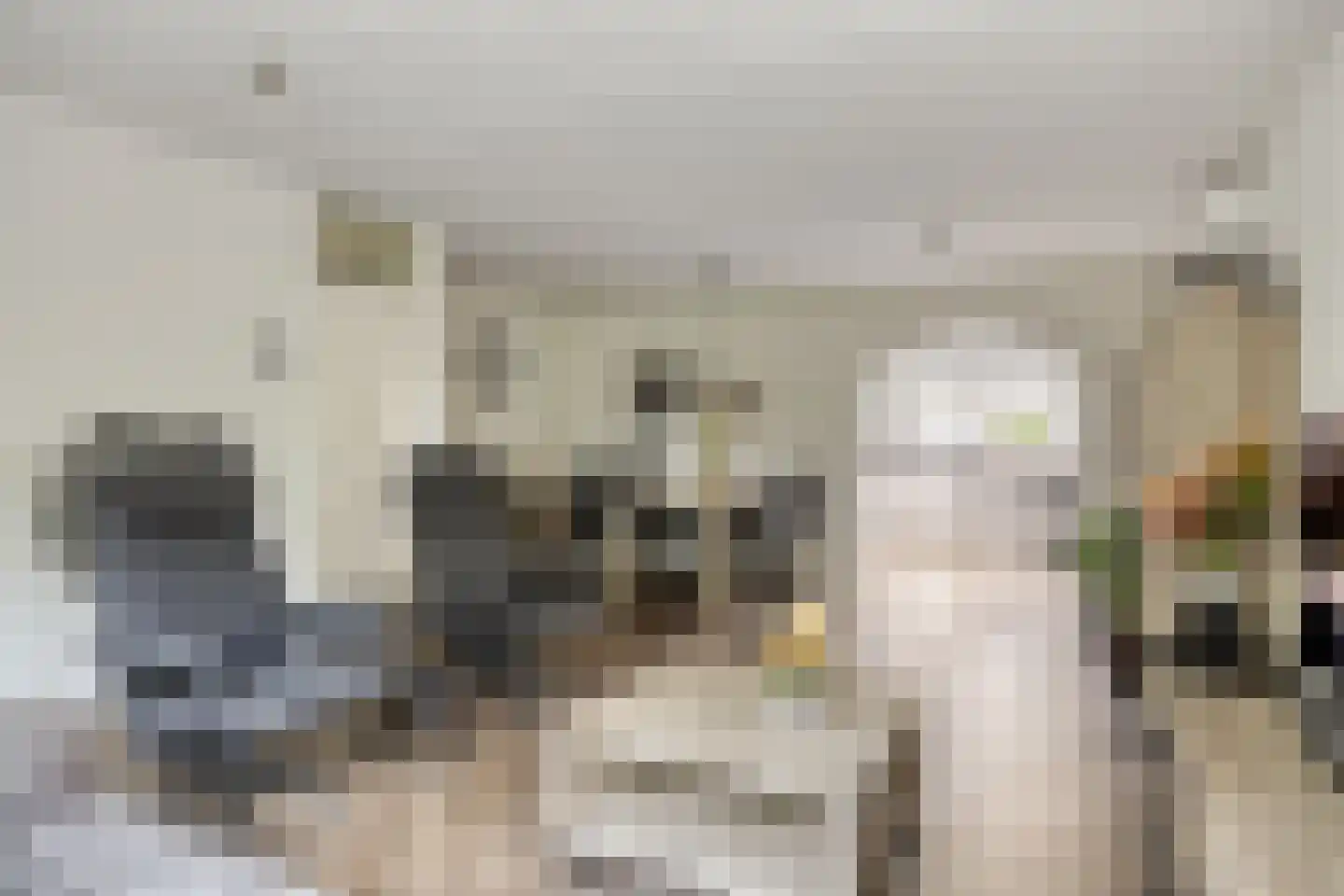 Koningspage 55 Oss thumbnail 8