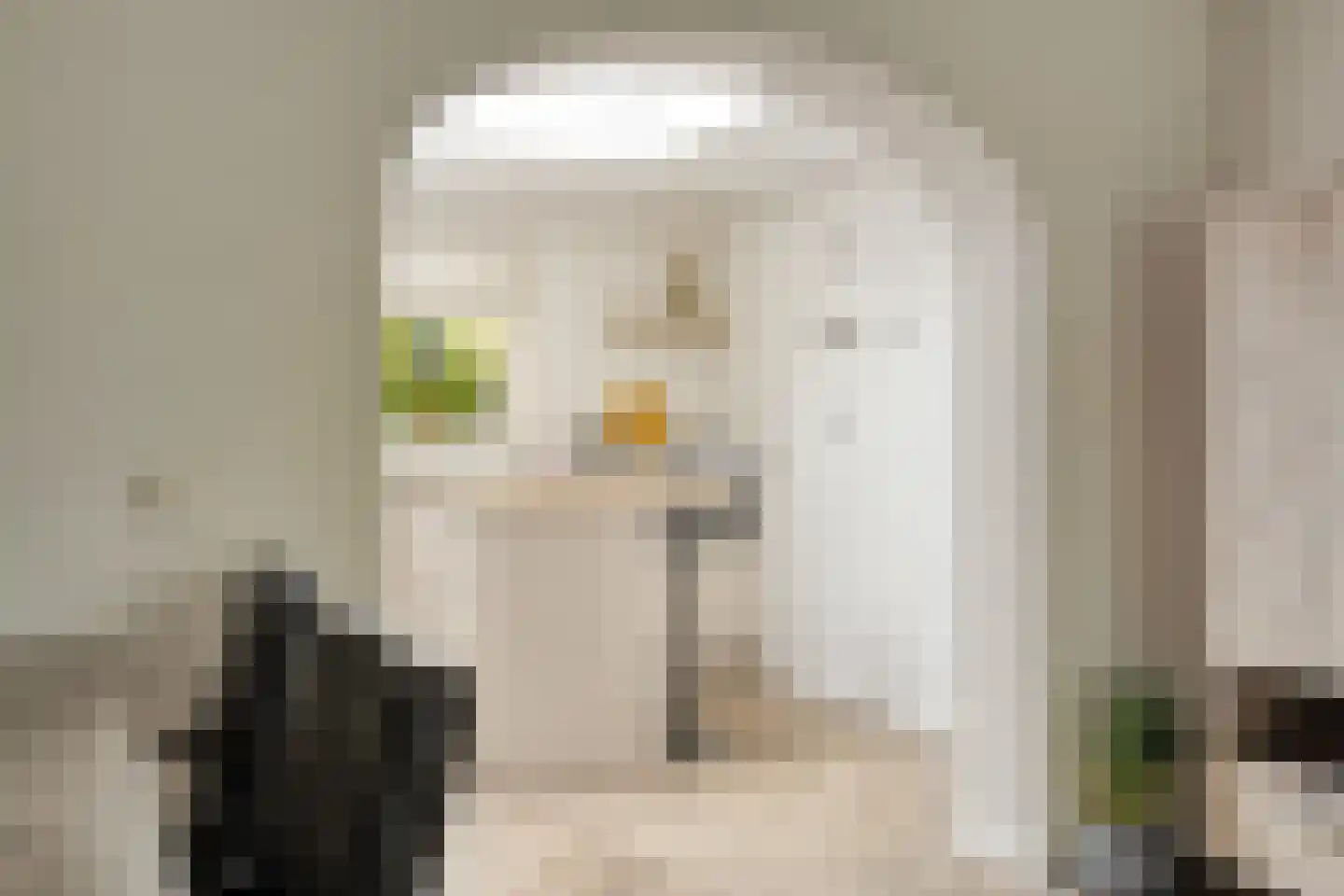 Koningspage 55 Oss thumbnail 9