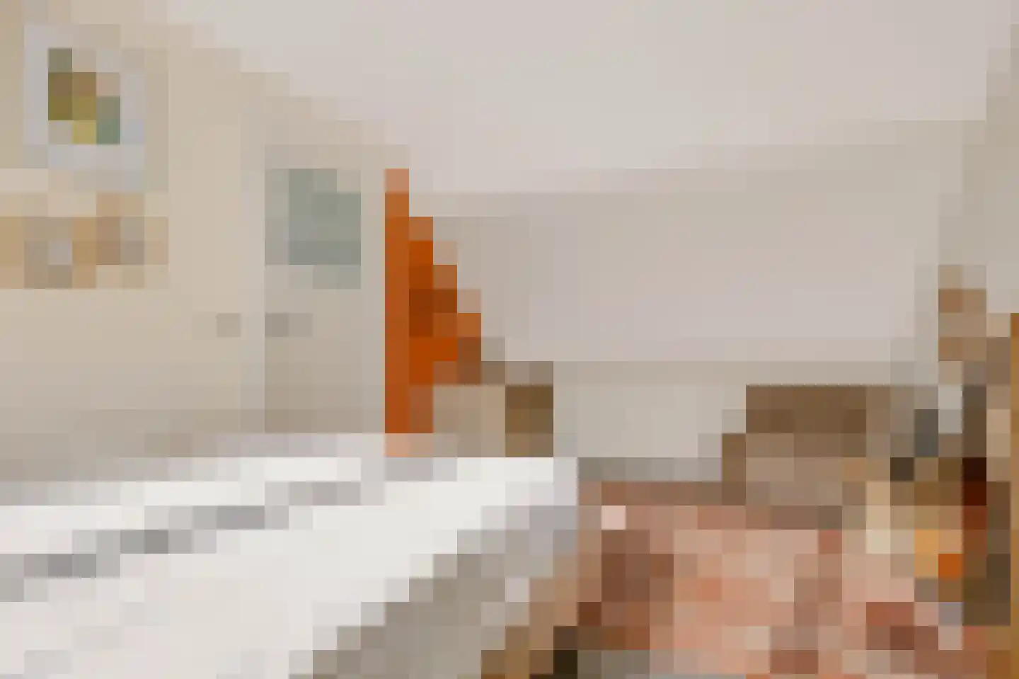 Koningspage 56 Beekbergen thumbnail 26