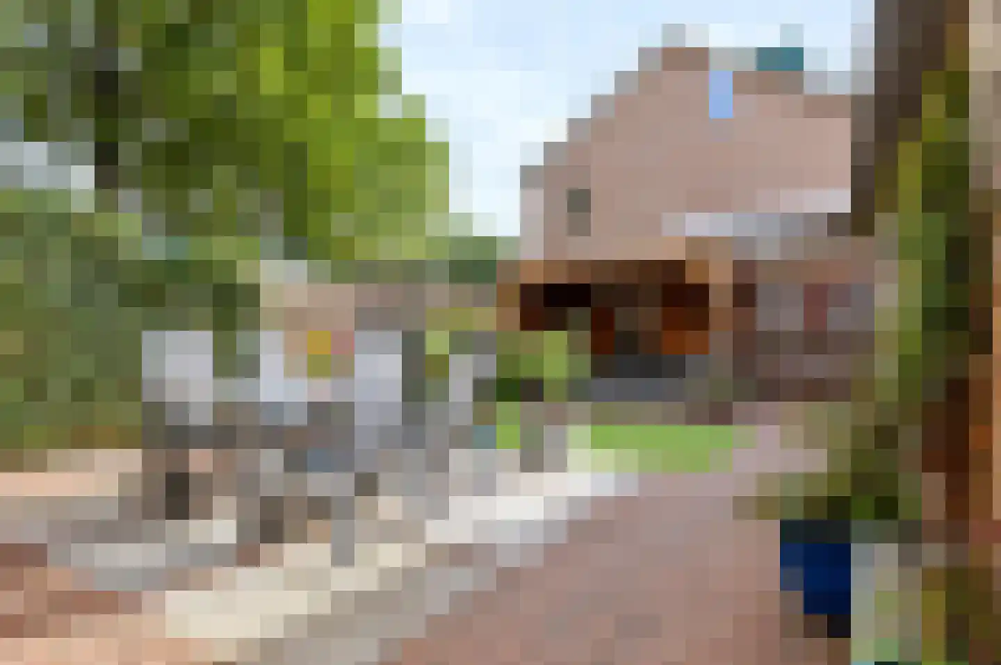 Koningspage 56 Beekbergen thumbnail 29
