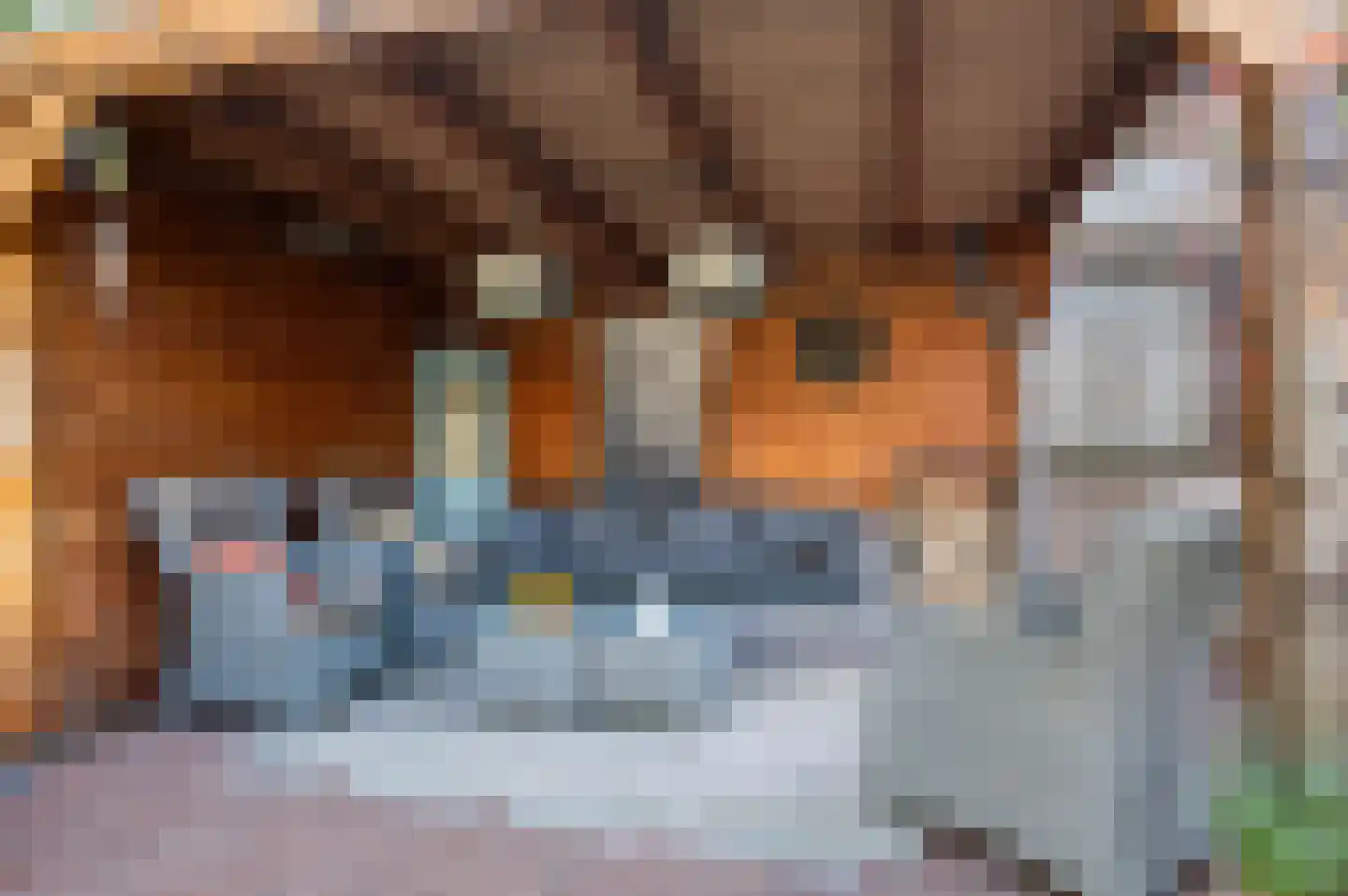 Koningspage 56 Beekbergen thumbnail 32