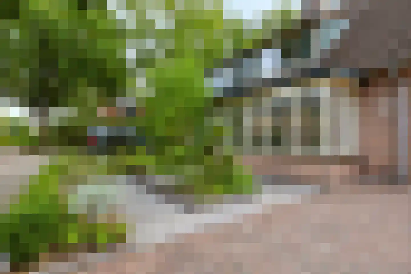 Koningspage 56 Beekbergen thumbnail 37