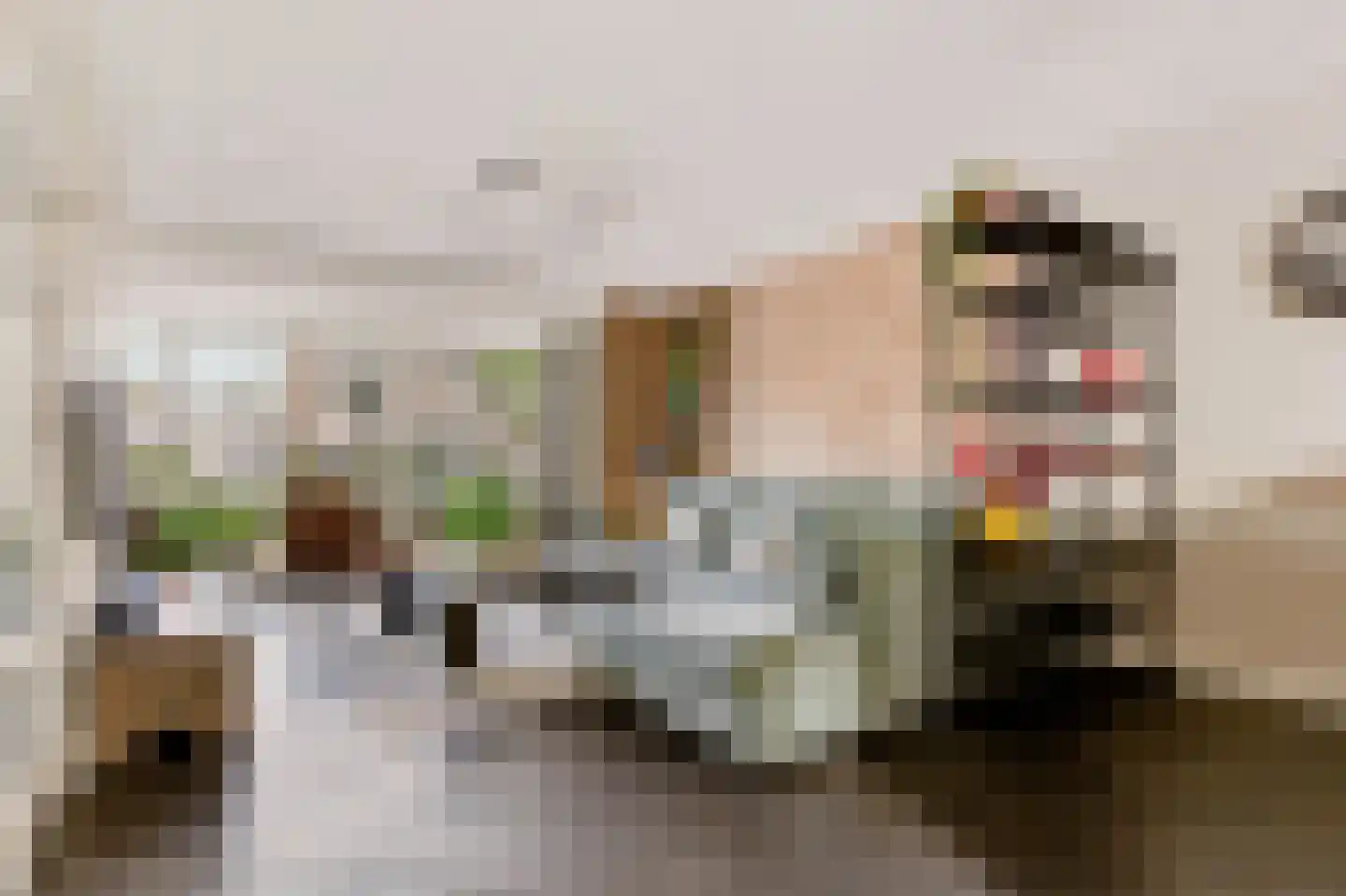 Koningspage 56 Beekbergen thumbnail 4