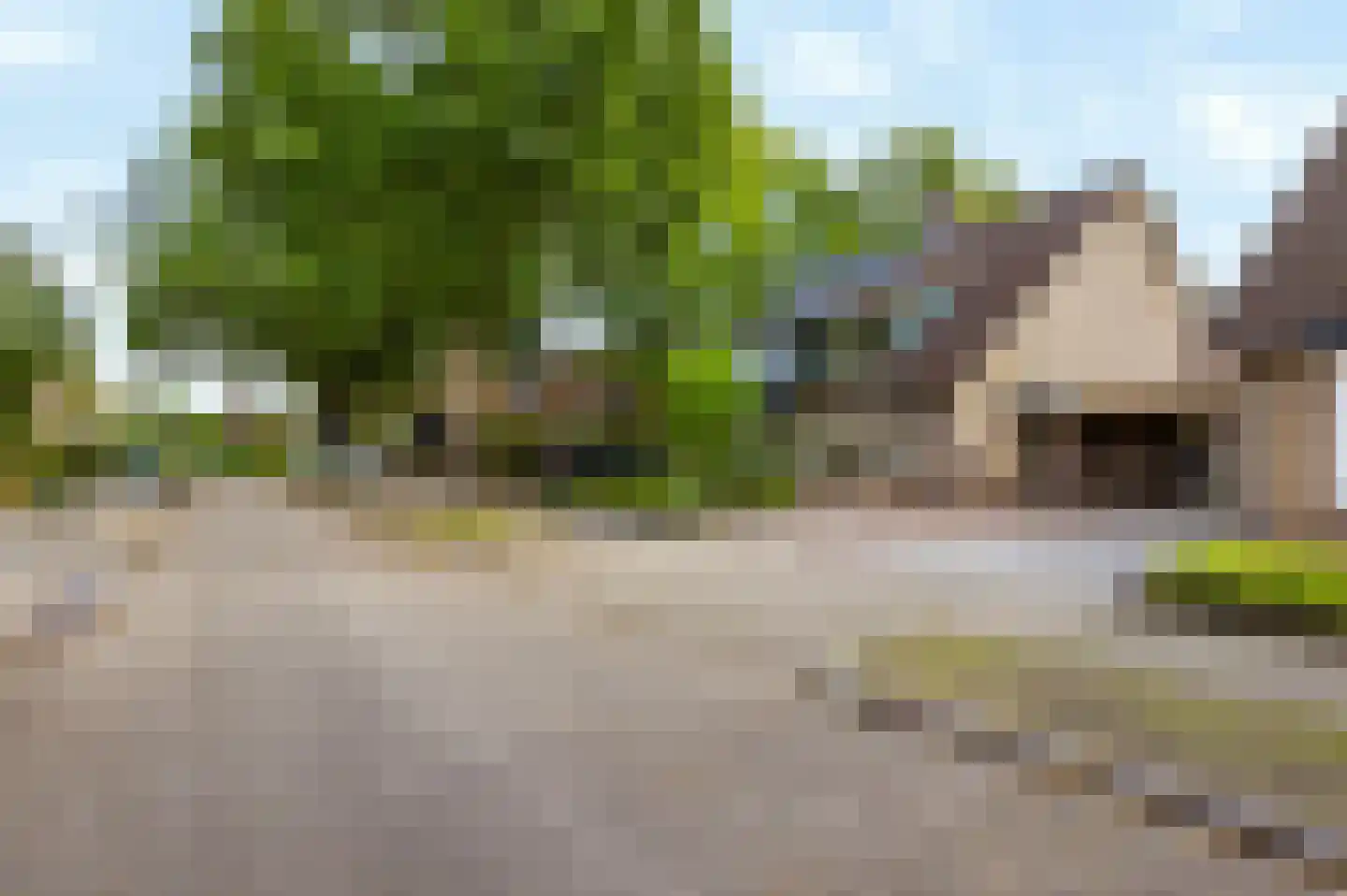 Koningspage 56 Beekbergen thumbnail 40