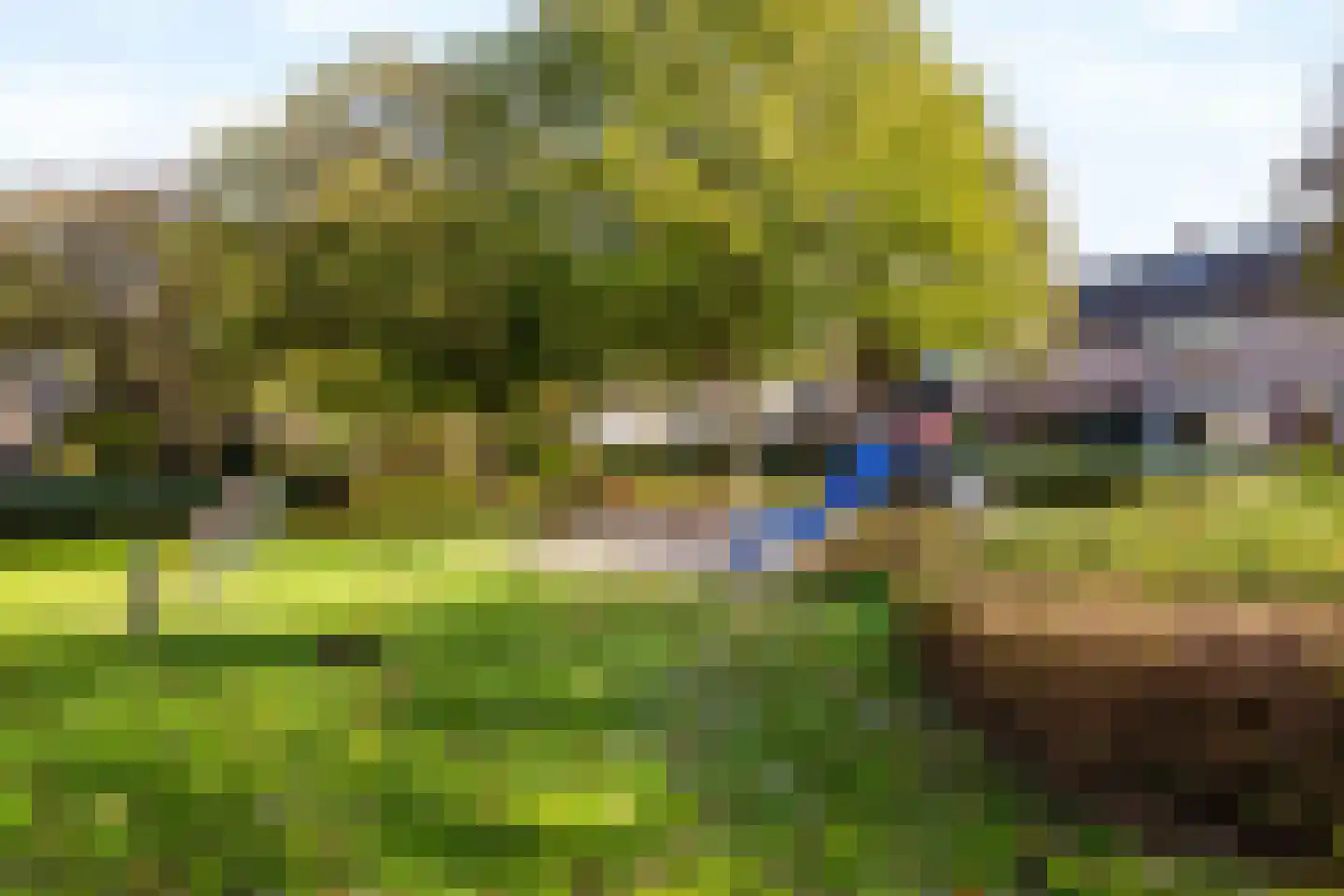 Koningspage 56 Beekbergen thumbnail 41