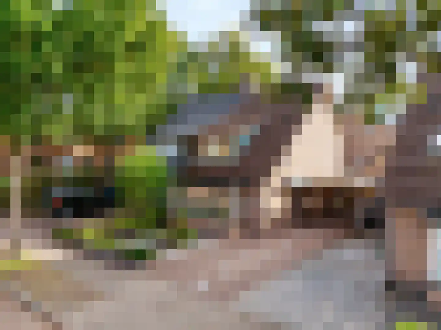 Koningspage 56 Beekbergen thumbnail 42