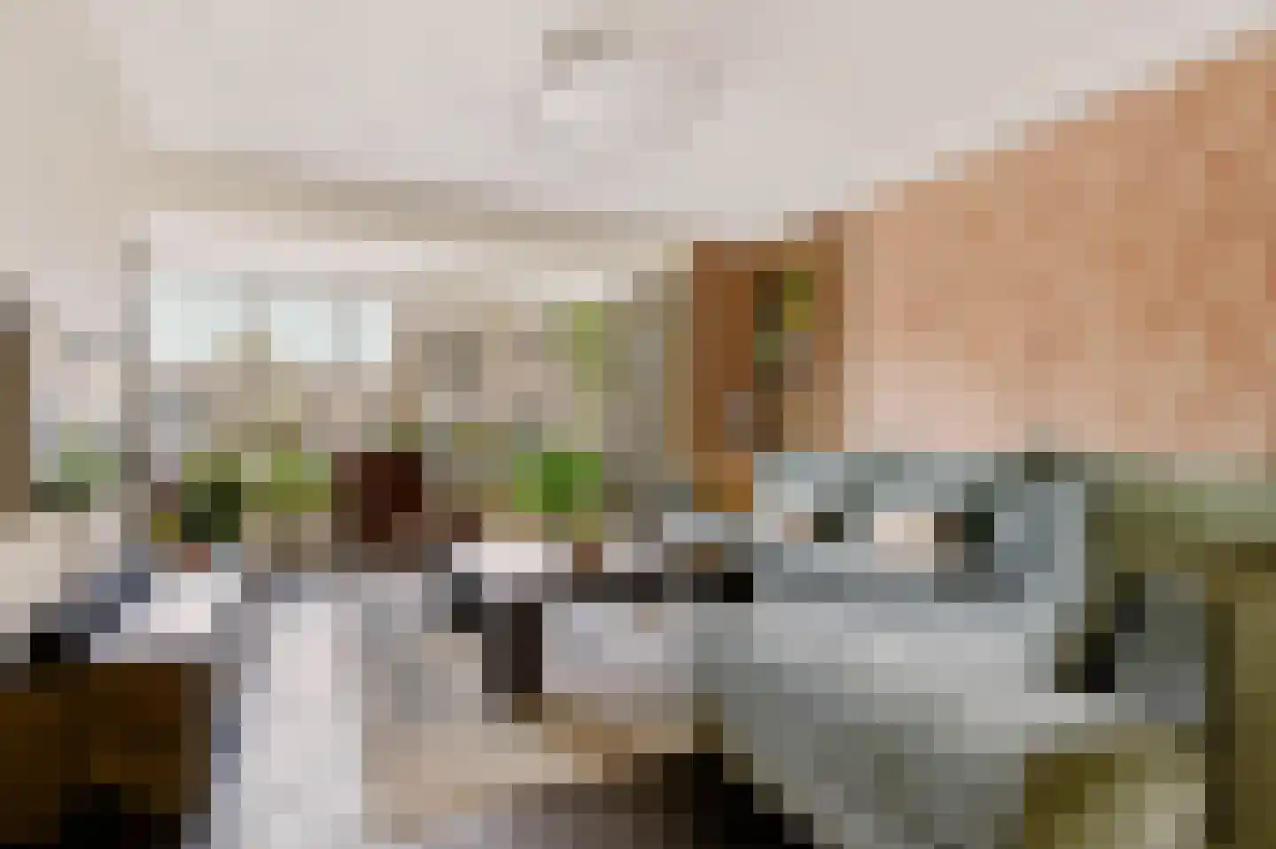 Koningspage 56 Beekbergen thumbnail 5