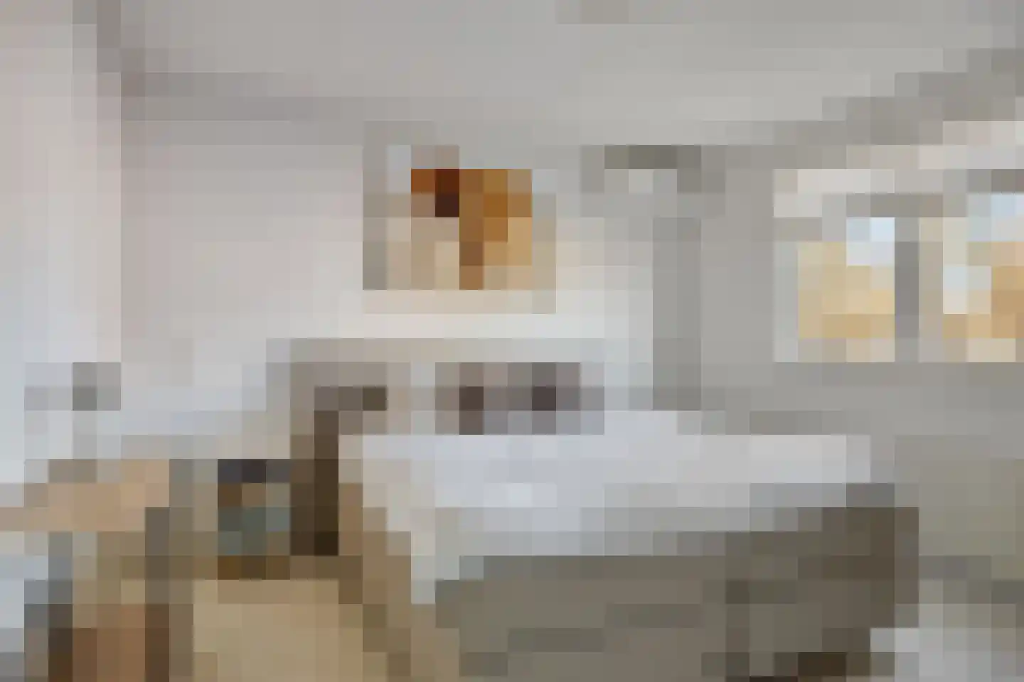 Koningspage 57 Oss thumbnail 12