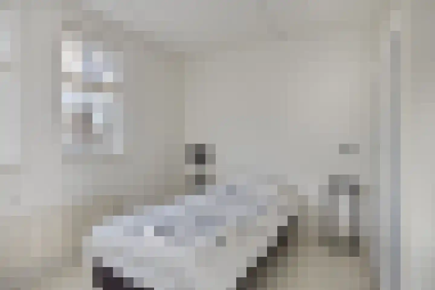 Koningspage 57 Oss thumbnail 14