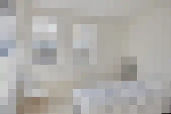Koningspage 57 Oss thumbnail 15