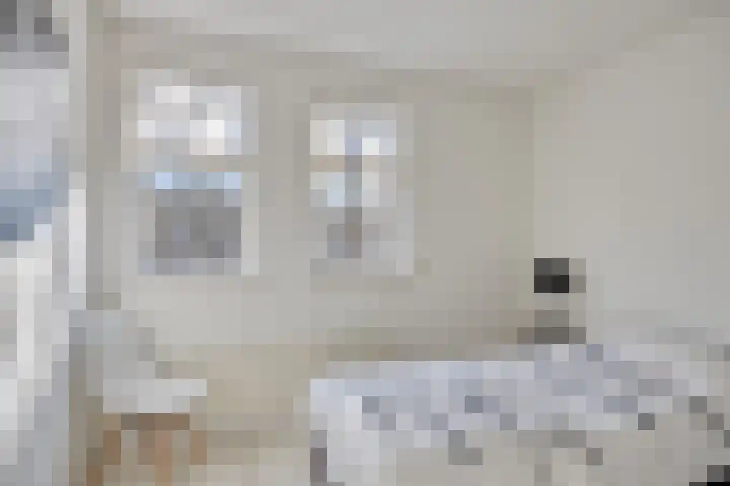 Koningspage 57 Oss thumbnail 15