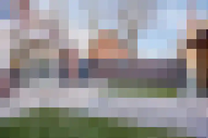 Koningspage 57 Oss thumbnail 22