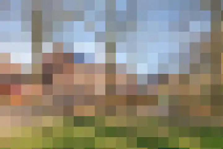 Koningspage 57 Oss thumbnail 29