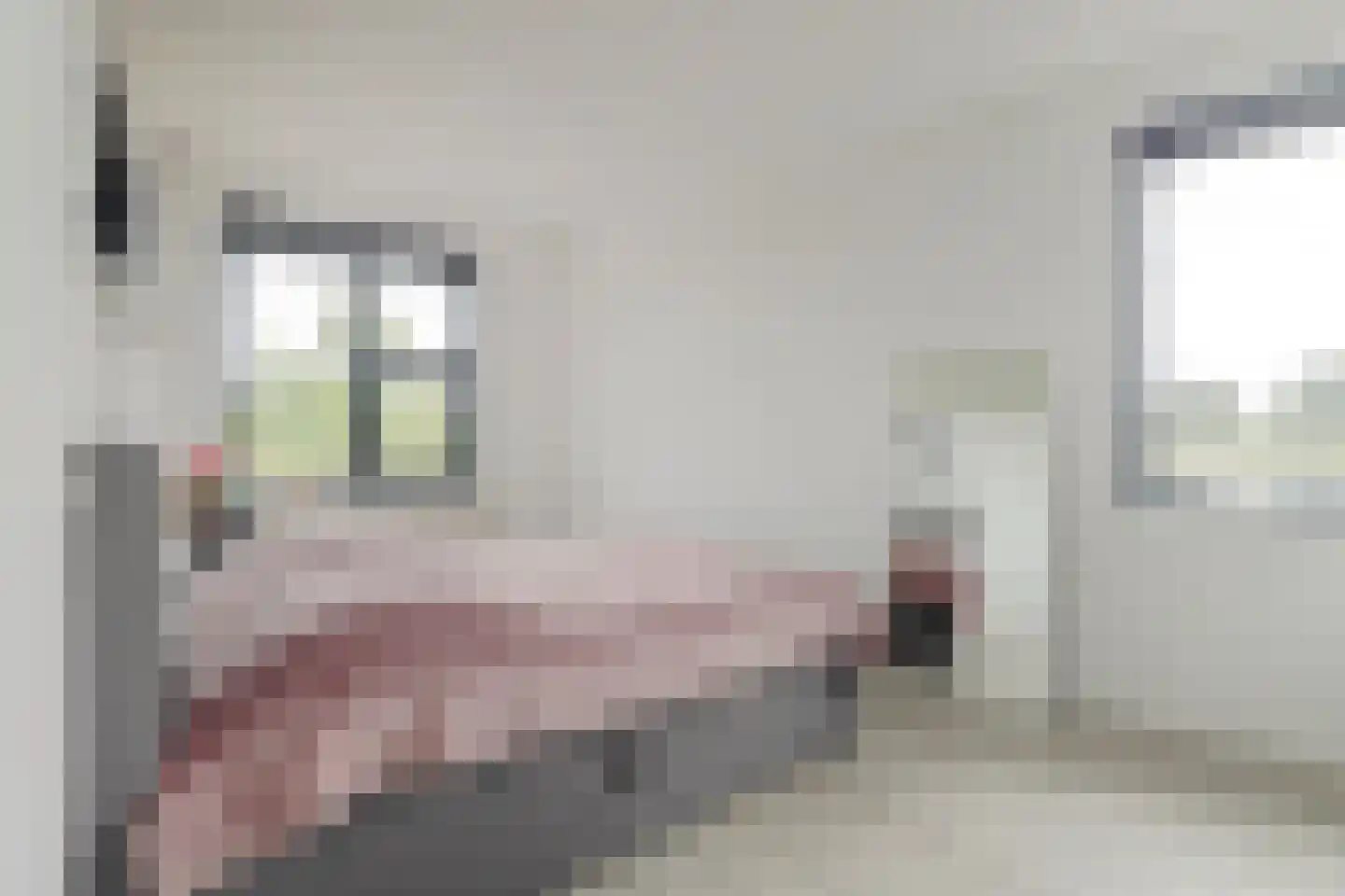 Koningspage 59 Hoogeveen thumbnail 30