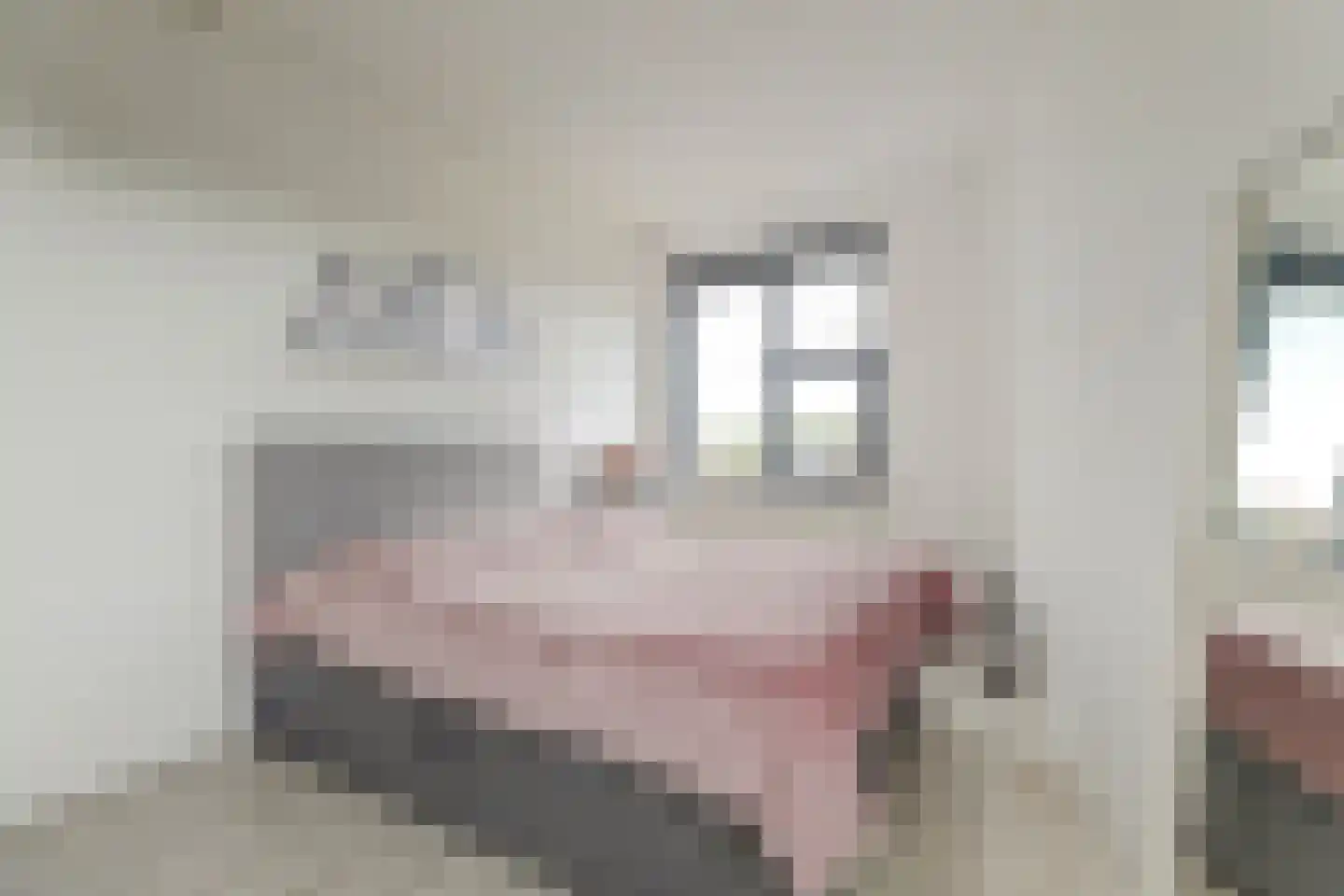 Koningspage 59 Hoogeveen thumbnail 31