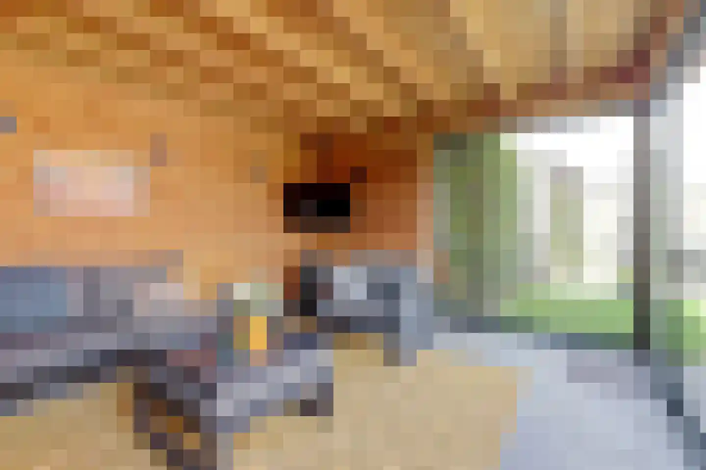 Koningspage 59 Hoogeveen thumbnail 35