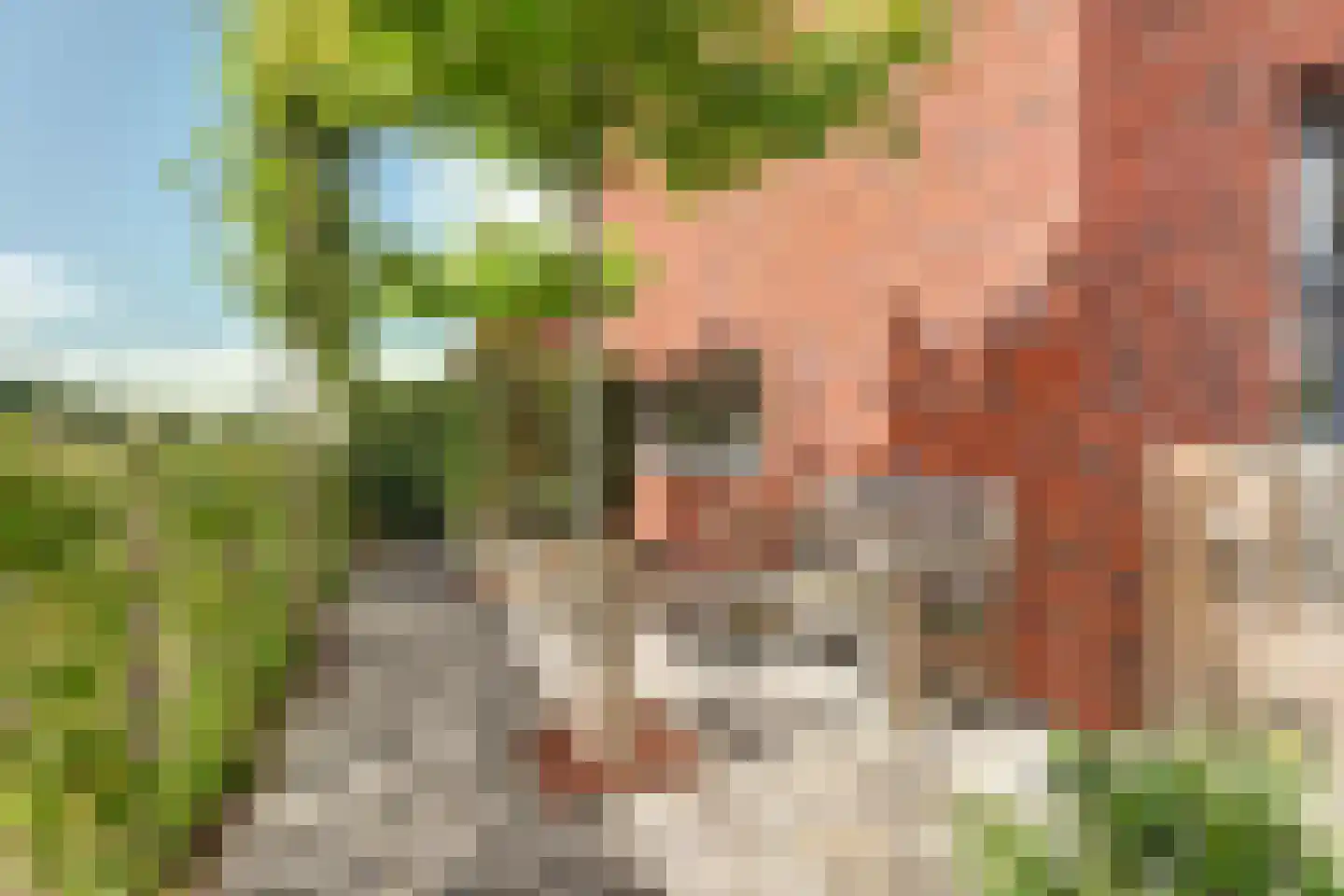 Koningspage 59 Hoogeveen thumbnail 42