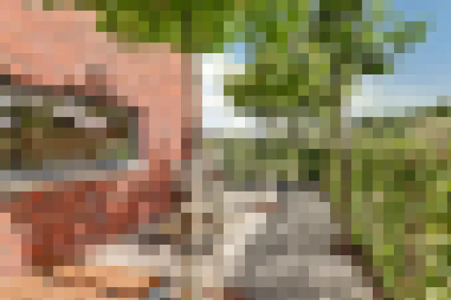 Koningspage 59 Hoogeveen thumbnail 43