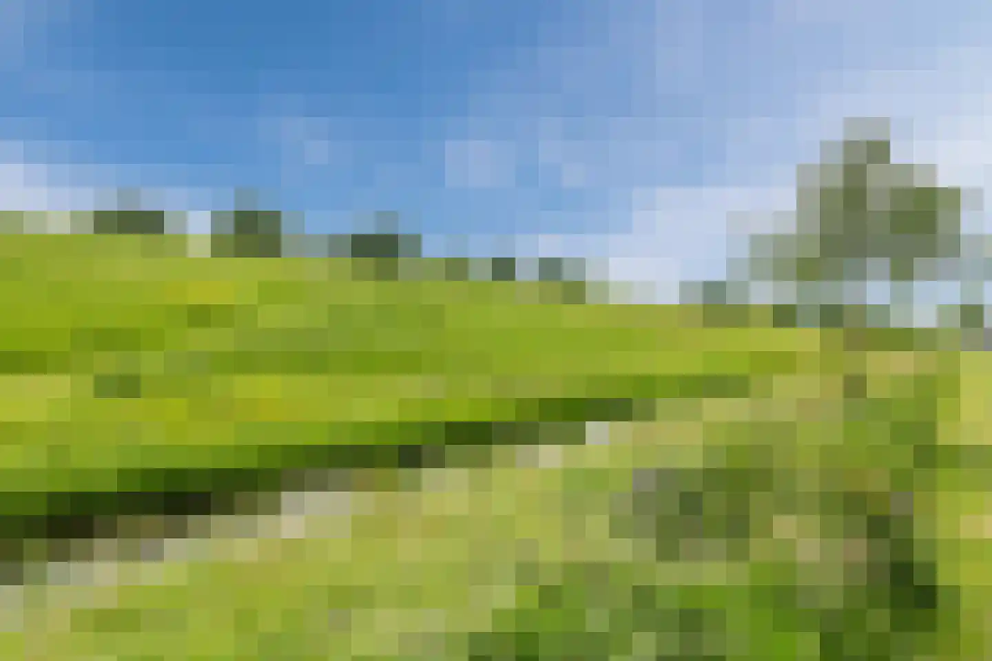Koningspage 68 Hoogeveen thumbnail 38
