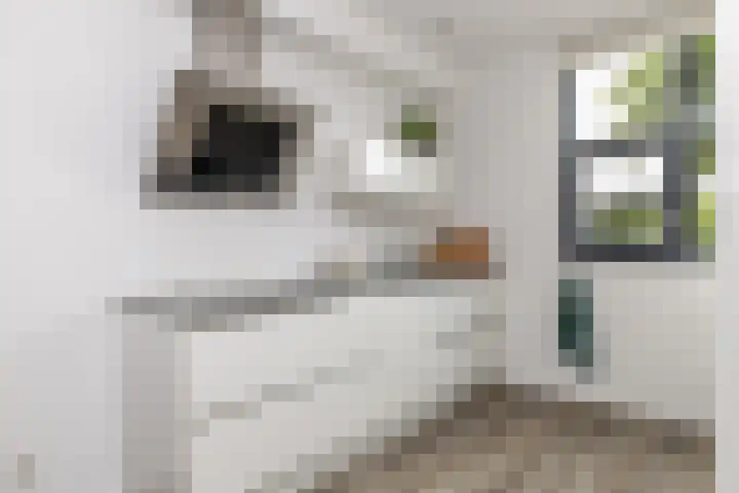 Koningspage 75 Hoogeveen thumbnail 17