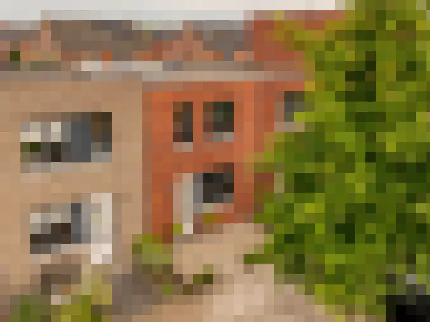 Koningspage 75 Hoogeveen thumbnail 41