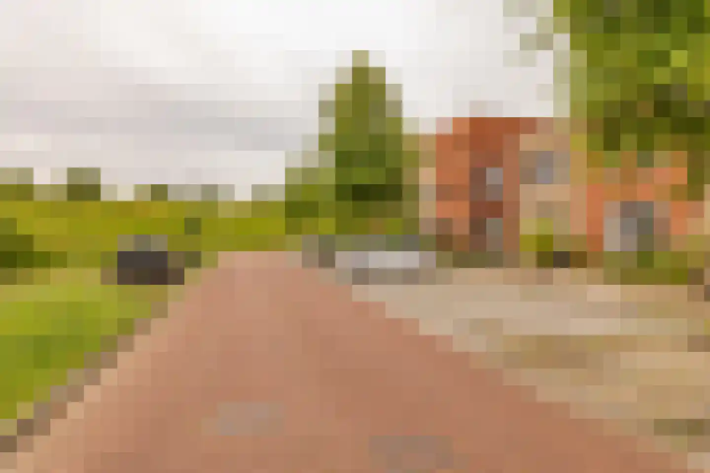 Koningspage 75 Hoogeveen thumbnail 44