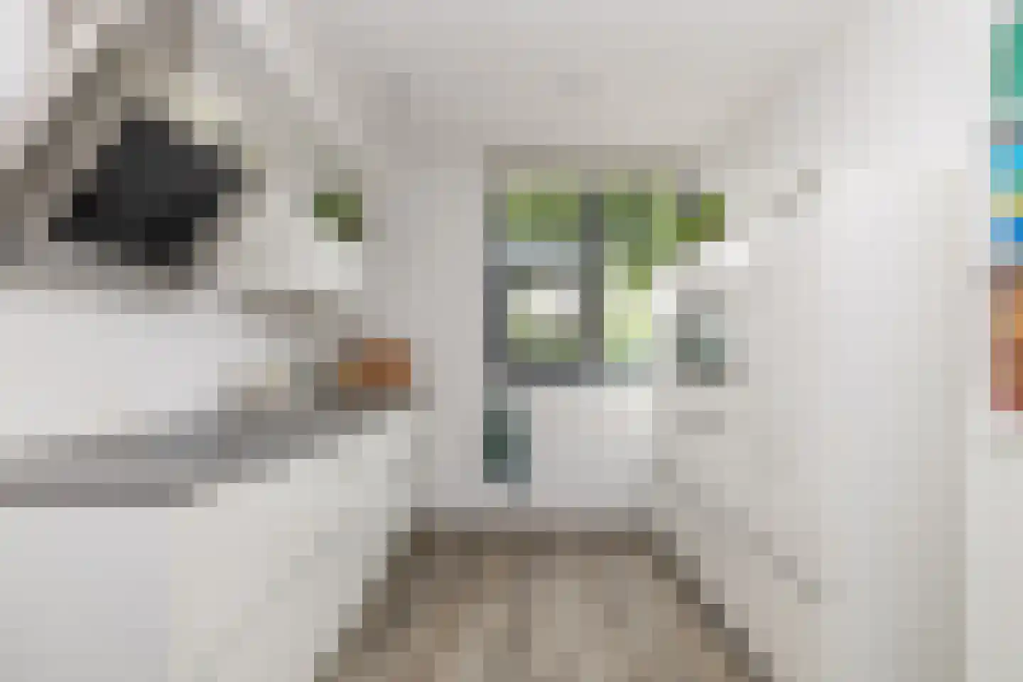 Koningspage 75 Hoogeveen thumbnail 5