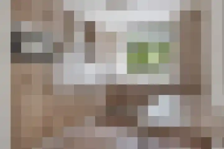 Koningspage 75 Oss thumbnail 14